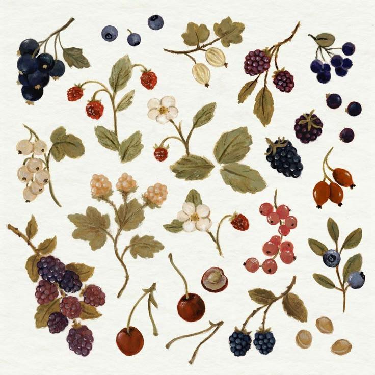 Berry Bounty: Handpicked Freshness Ensemble